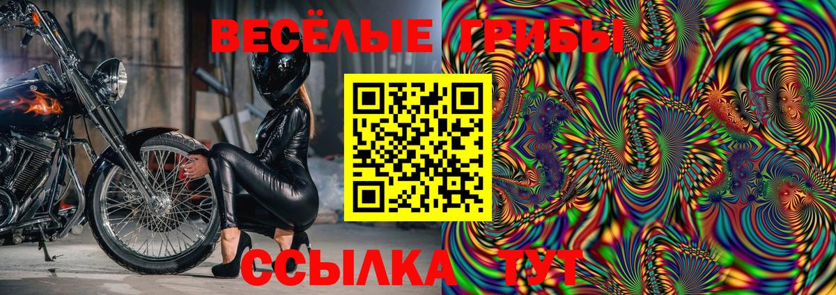 Галлюциногенные грибы прущие грибы  Вход с VPN  Сыктывкар 