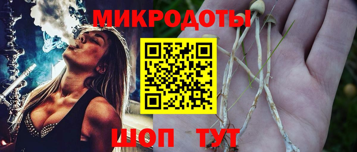 Галлюциногенные грибы Psilocybe Сыктывкар