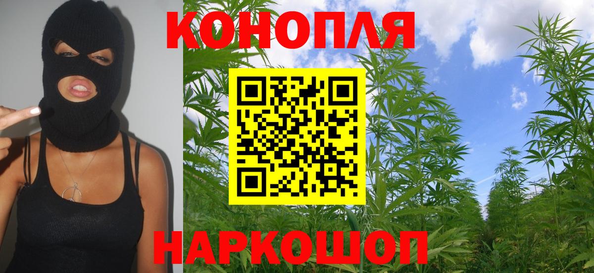 Канабис Bruce Banner Сыктывкар
